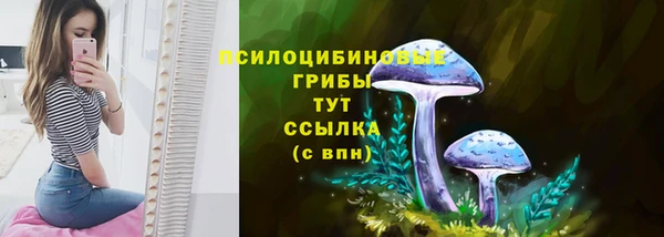 тгк Лагань