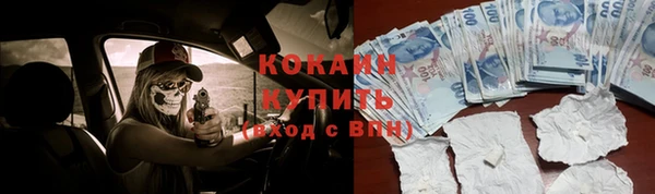 не бодяженный Ладушкин