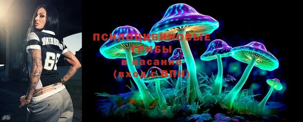 тгк Лагань