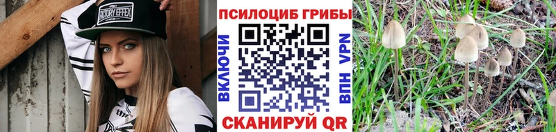 Псилоцибиновые грибы MAGIC MUSHROOMS  Медвежьегорск 